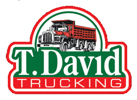 T David logo