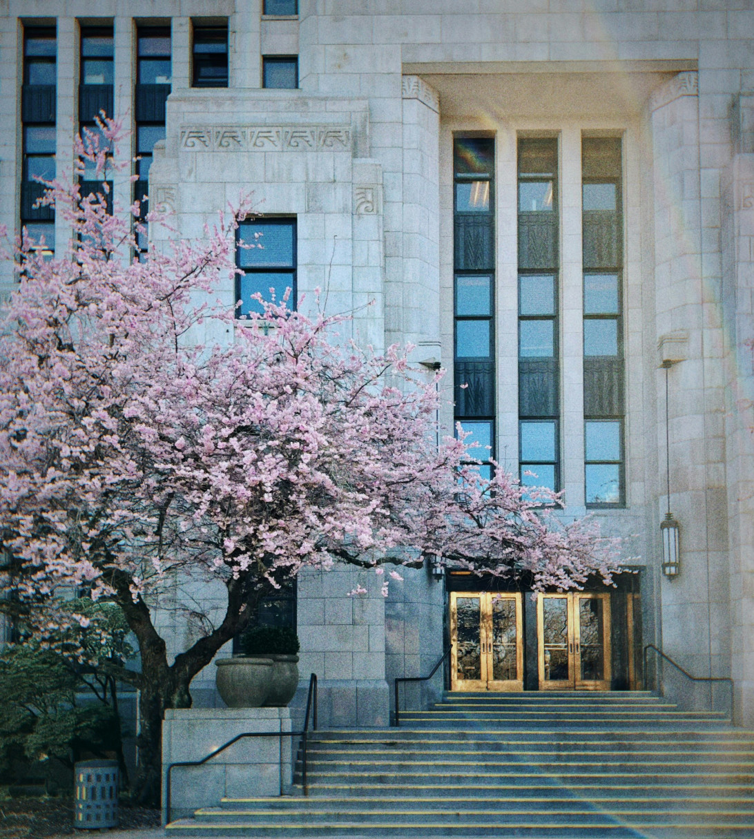 Foreclosures & Short Sales